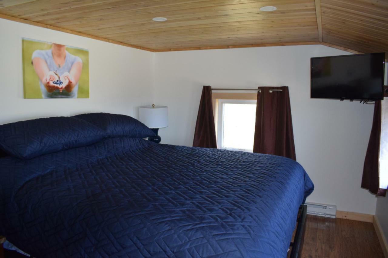 Bird Island B&B Bed And Bubble Elliston エクステリア 写真